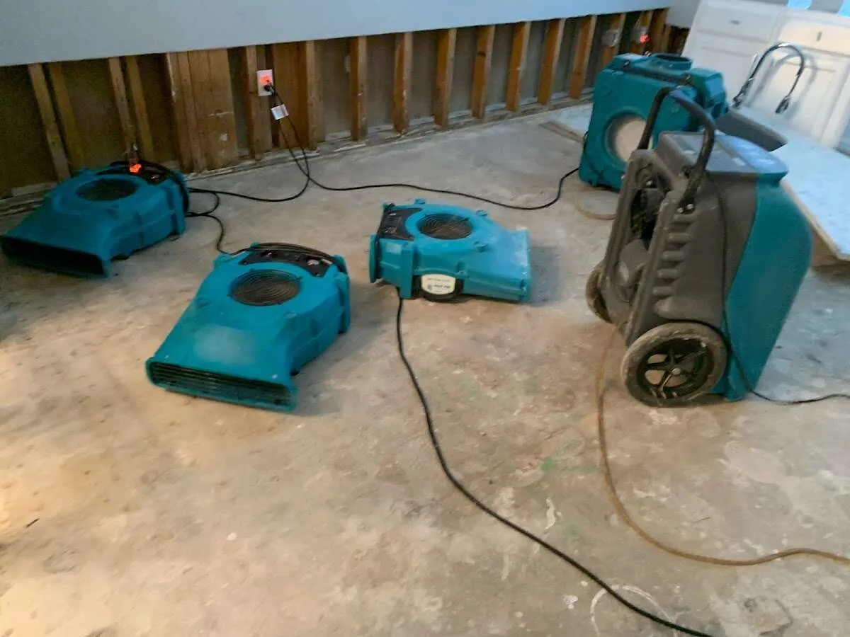 Water Damage Restoration services in California Polytechnic State University, CA